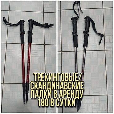 красотка мурской: Трекинговые палки, аренда, Аренда трекинговых палок Для заказа и — 1