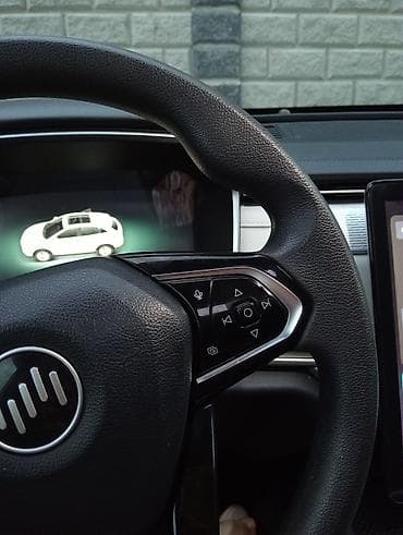 авто элек: Weltmeister EX5, 2019 г. — 7