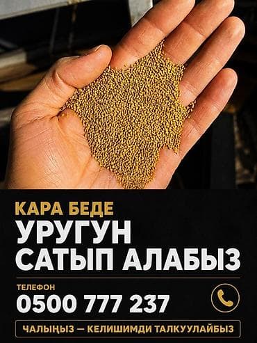 семена конопли: Куплю семена люцерны, очищенные через пектус без примесей, хорошего — 2