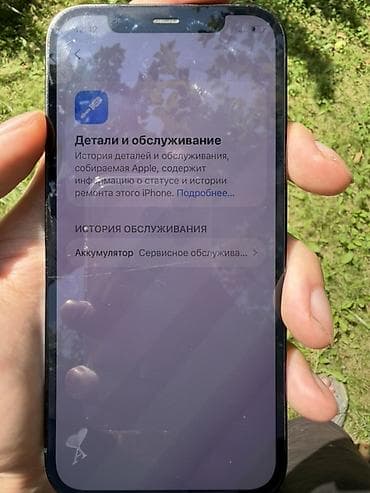 часы с пульсометром: IPhone 12 Pro, Б/у, 512 ГБ, Pacific Blue, Чехол, 74 % — 5