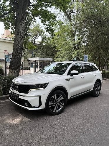 sonlink 200: Kia Sorento: 2022 г., 1.6 л, Автомат, Гибрид, Кроссовер — 4