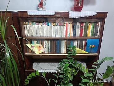с мебелью: Домашняя библиотека: подборка книг в шкафах с застеклёнными полками - — 1