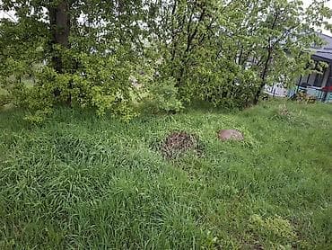 Земельные участки: 4 соток, Для строительства, Красная книга — 5