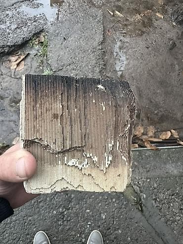 Услуги: Катализатор алабыз, Катализатор, Скупка катализаторов Бишкек, Скупка — 1