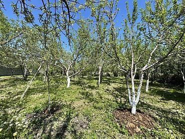 земля в рассрочку: 4 соток, Для строительства — 2