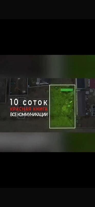 бишкек участо: 10 соток, Бизнес үчүн, Кызыл китеп — 2