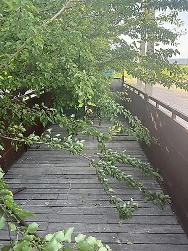 ремонт портер 1: Mercedes-Benz : 1988 г., Дизель — 8