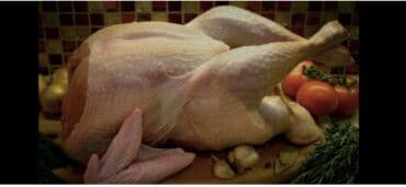 сколько стоит 1 кг домашних пельменей: Продам домашних индюков на свободном выгуле — Бишкек Продаю домашних — 3