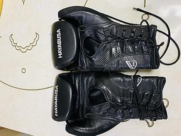 сумки для одежды: Перчатки-лапы для бокса/кикбоксинга Hayabusa (пара) - Тип — 2