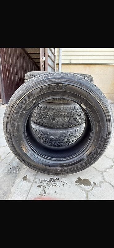 лента на авто: Шины R 16, Всесезонная, Комплект, Внедорожные (АТ/МТ), Dunlop — 5