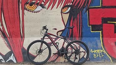 fixed gear: Велосипед городской (KOLUSI) цена[6500] велосипед в идеале,из минусов — 2