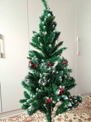 павлония саженцы: Елка — 1