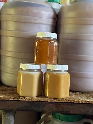 мёд горный: Горный мёд с пасеки, без сахара. Только опт от 33 кг. Описание: - — 8