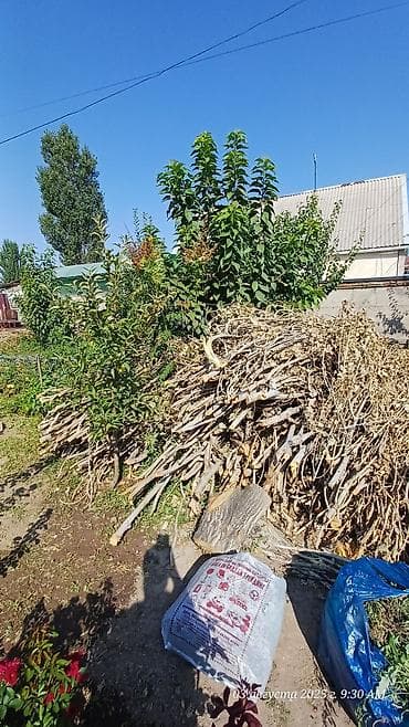 Бакча эмереги: Отун Терек, Өзү алып кетүү — 1