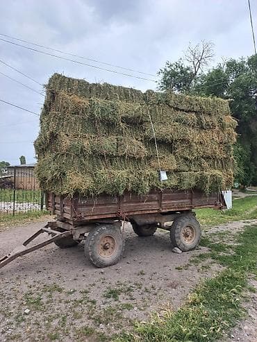 сена рез: Клевер 95-97% - Подходит для кормления лошадей, КРС, коз, овец — 4