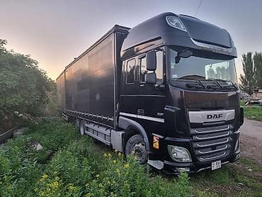 глушители выхлоп: Тягач, DAF, Шторный — 6