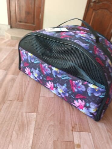 Кошки: 900 сом хорошем качестве — 3