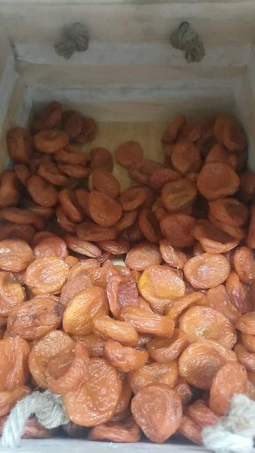 корзина для абрикос: Курага (вяленые абрикосы), натуральная - Сорт: домашняя/фермерская — 4