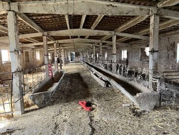 советский щербакова: Продаю Здание, Действующий 5300 м² — 10