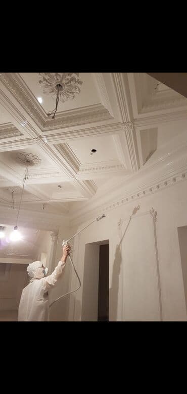 Покраска стен, Покраска потолков, Покраска окон, На масляной основе, На водной основе, Больше 6 лет опыта