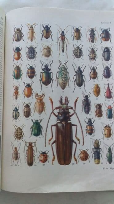 купить школьную доску для начальных классов: МАЛАЯ СОВЕТСКАЯ ЭНЦИКЛОПЕДИЯ 10 ТОМОВ. СОСТОЯНИЕ ОТЛИЧНОЕ МОСКВА — 4