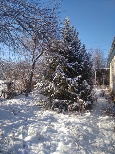 продаю кухонный шкаф: 1. Ёлка-3метра
2. Ёлка- 4.5метра — 2