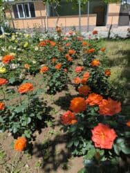 бишкек продаю дом село дордой 2: Дом, 1441 м², 12 комнат, Собственник — 8