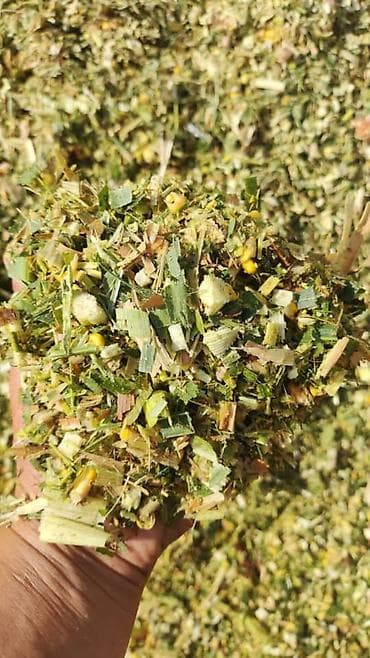 будай урон: Силос 8сом с погрузкой — 3