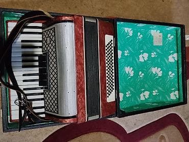 гитаа: Аккордеон (пятиклапанный регистр, классическая компоновка) - — 7