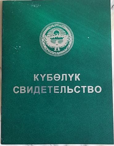 Недвижимость: 3000 соток, Договор купли-продажи, Договор долевого участия — 1