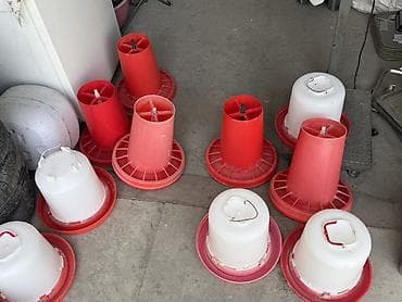 куры бройлеры: Кормушки и поилки для птицы (кур, индюшек, уток) - Тип: бункерные — 2