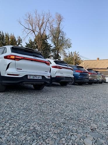 srv 3: Линейка кроссоверов (на фото — несколько экземпляров одного семейства) — 3