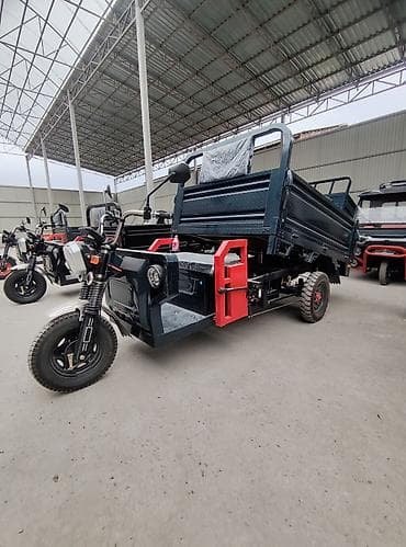 грузовые мото: Легкий грузовик, Mercedes-Benz, Стандарт — 2