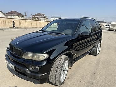 BMW: BMW X5: 2004 г., 4.8 л, Автомат, Бензин, Внедорожник — 2