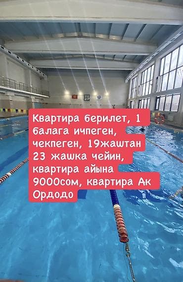 квартиры однокомнатные: 1 комната, Без подселения — 1