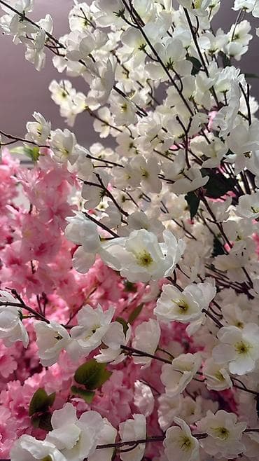 колерованная черешня: Искусственные декоративные деревья “Сакура” - Реалистичные пышные — 10