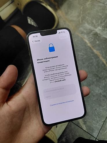 IPhone 13 Pro, Графит