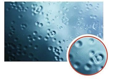 Инструменты для авто: Продаю Антисиликон.Обезжириватель для автокраски — 6