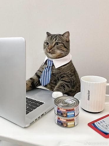 rival work kg: Здравствуйте работодатели сейчас в активном поиске подработки 17 лет — 4