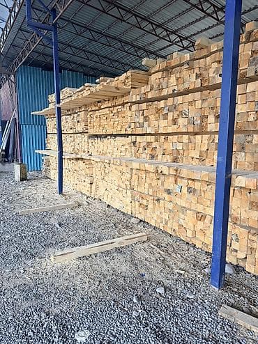 тай ат: Лес 🌳 из 🇷🇺 🔥🔥🔥 — 2