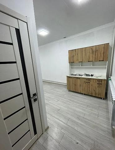 Батирлер: 1 бөлмө, Кыймылсыз мүлк агенттиги, Чогуу жашоосу жок, Жарым -жартылай эмереги бар — 1