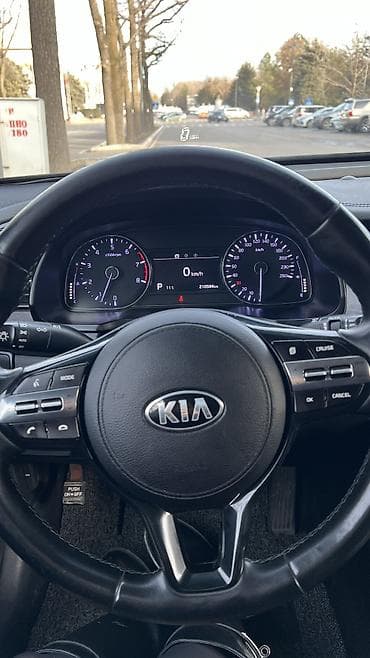 yuan plus byd: Kia K7: 2019 г., 3 л, Автомат, Газ, Седан — 8