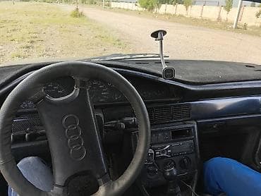 crown 171: Audi 100: 1991 г., Механика, Универсал — 1