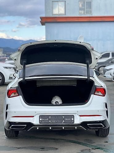 оптима 2020: Kia K5: 2020 г., 2 л, Автомат, Газ, Седан — 5