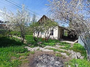 солнечный рай: Продаётся участок с небольшим одноэтажным домом и хозпостройками в — 8