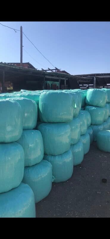 Силос мелкодробленый с кукурузой высшего сорта! Качества