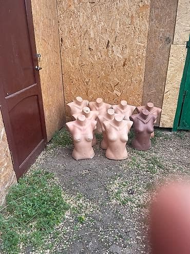 1000 бары