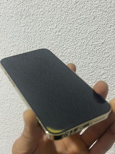 iphone 12 pro nax: IPhone 12 Pro Max, Б/у, 128 ГБ, Rose Gold, Защитное стекло, Чехол, 74 % — 5