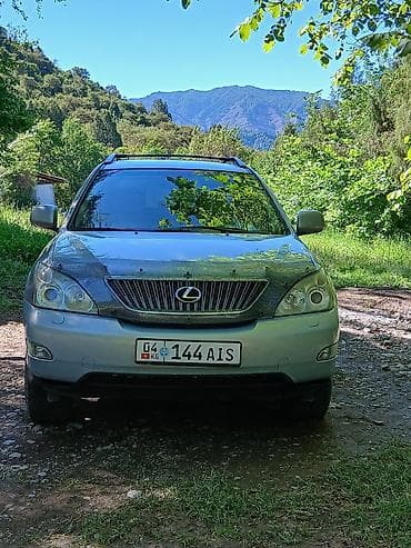 Lexus RX: 2004 г., 3.3 л, Автомат, Кроссовер — 4