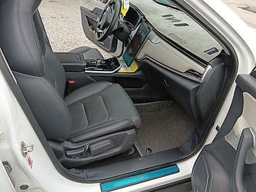 задние амортизаторы: Weltmeister EX5, 2021 г., Передний, В наличии — 6